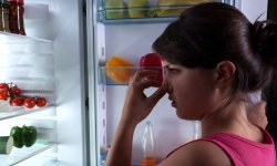 Причины неприятного запаха в холодильнике и методы избавления от него