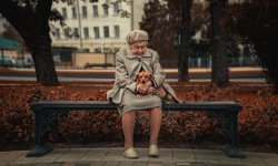 Какие льготы положены одиноким пенсионерам в 2019 году?
