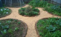 Полезные и проверенные способы использования опилок в саду и огороде