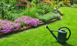 Как правильно удобрять газон осенью, весной и летом