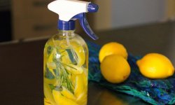Необычные способы использования обычного лимона в быту