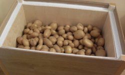Температура для хранения картошки зимой на балконе и ящик своими руками