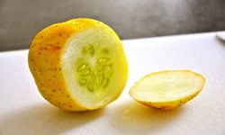 Как вырастить на даче необычные огурцы в виде лимона, особенности посадки и ухода