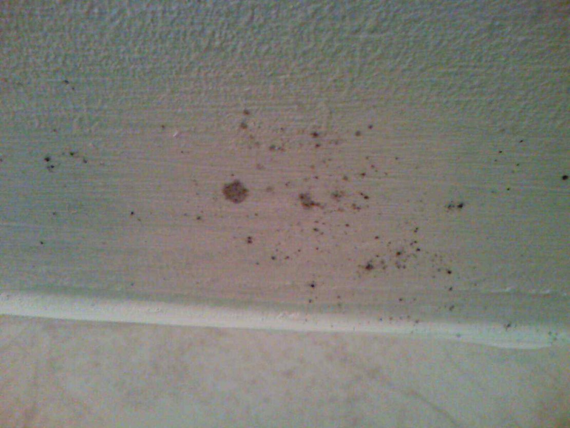 плесень в ванной на потолке