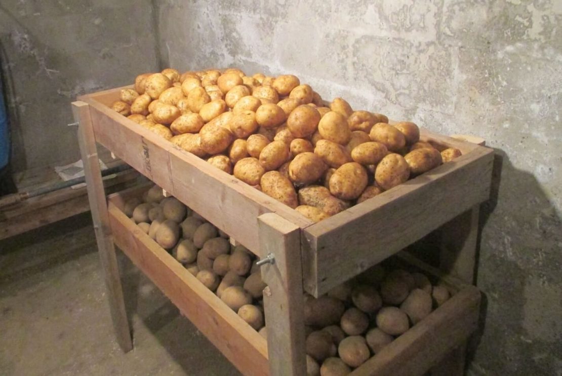 ящик для картошки