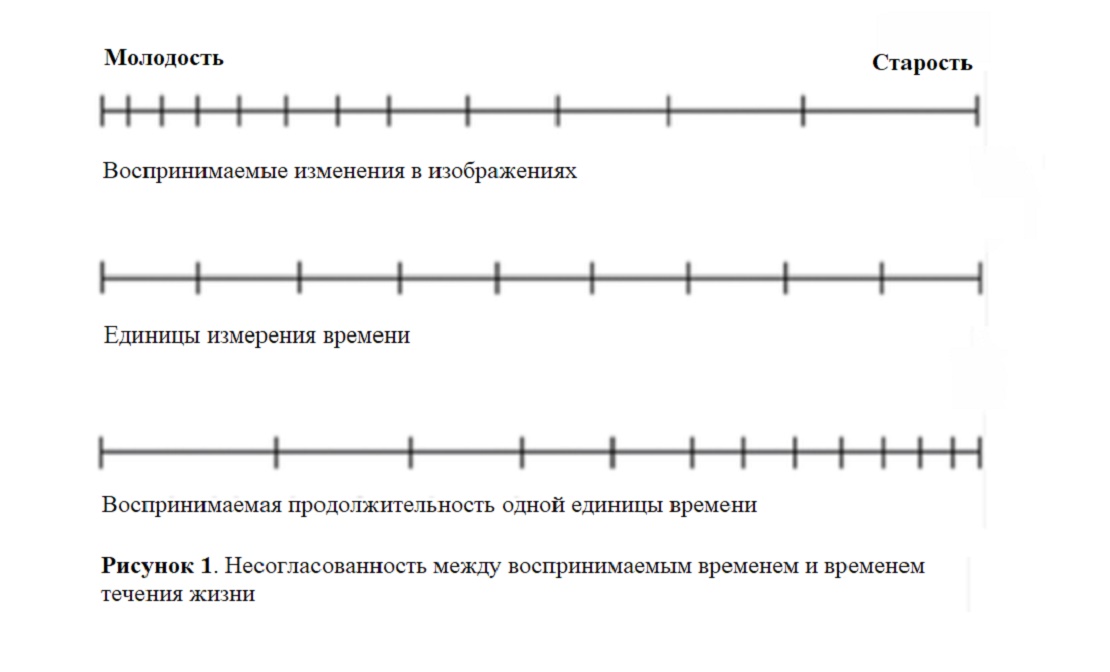 Прибавить время к текущему времени. Время с возрастом течет быстрее график. График молодость и старость время и возможности. Формула как воспринимается время с возрастом. Почему с возрастом время течёт быстреее.