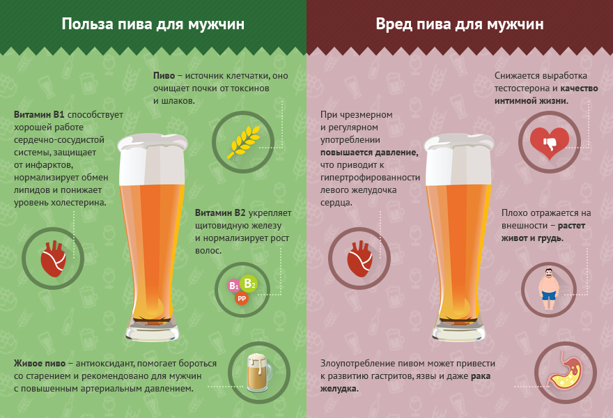 польза и вред пива