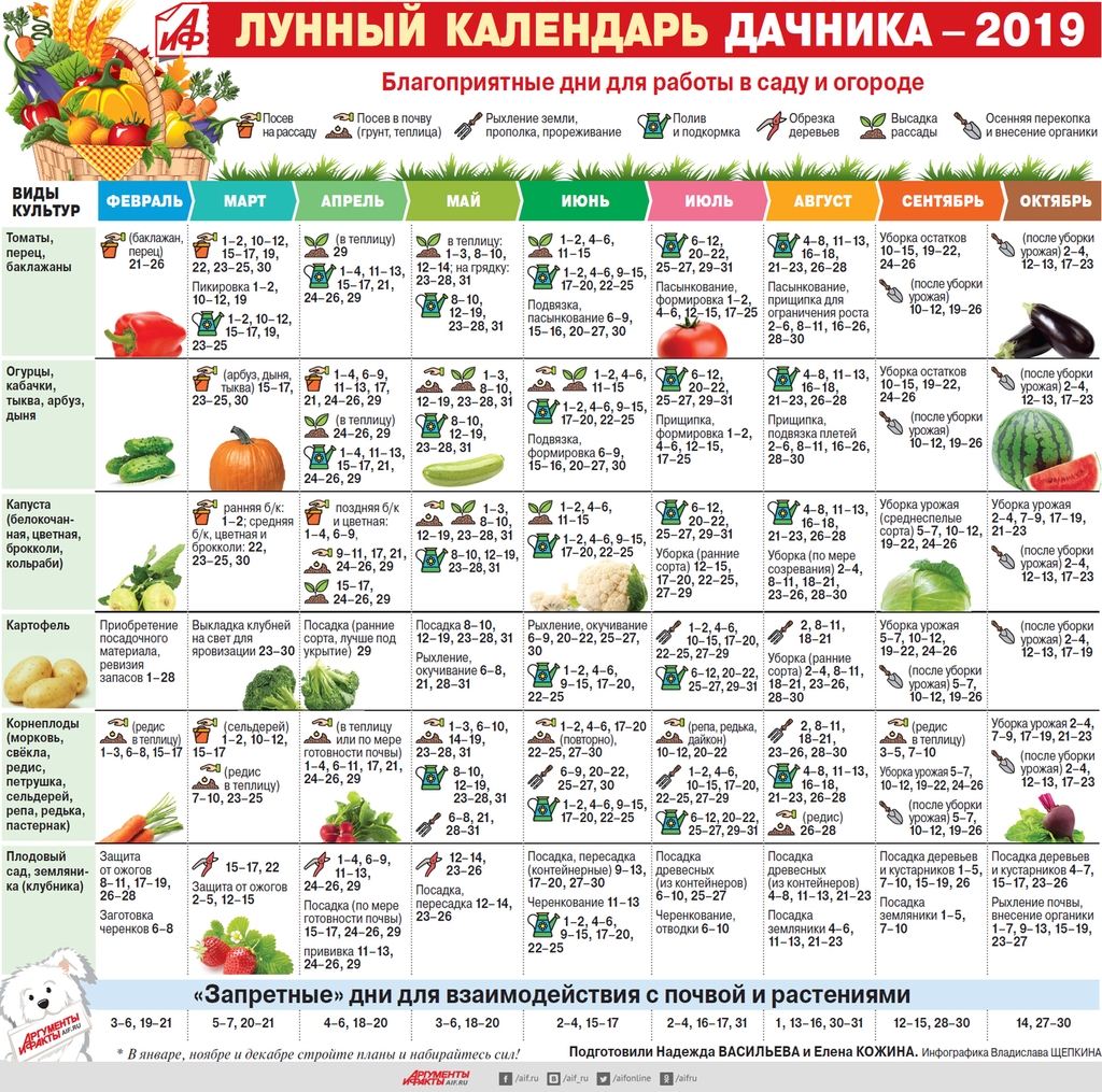 Посадка огурцов в 2019