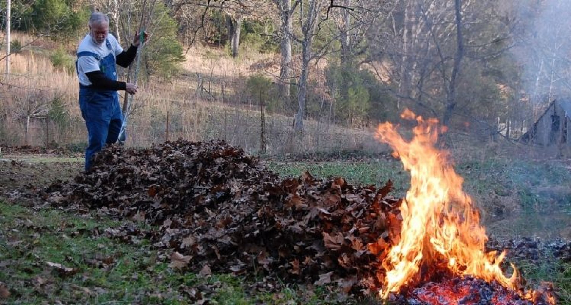 Дворник пожар. Сжигание листвы. Сожженный лист. Сжигание сухой травы на дачном участке.