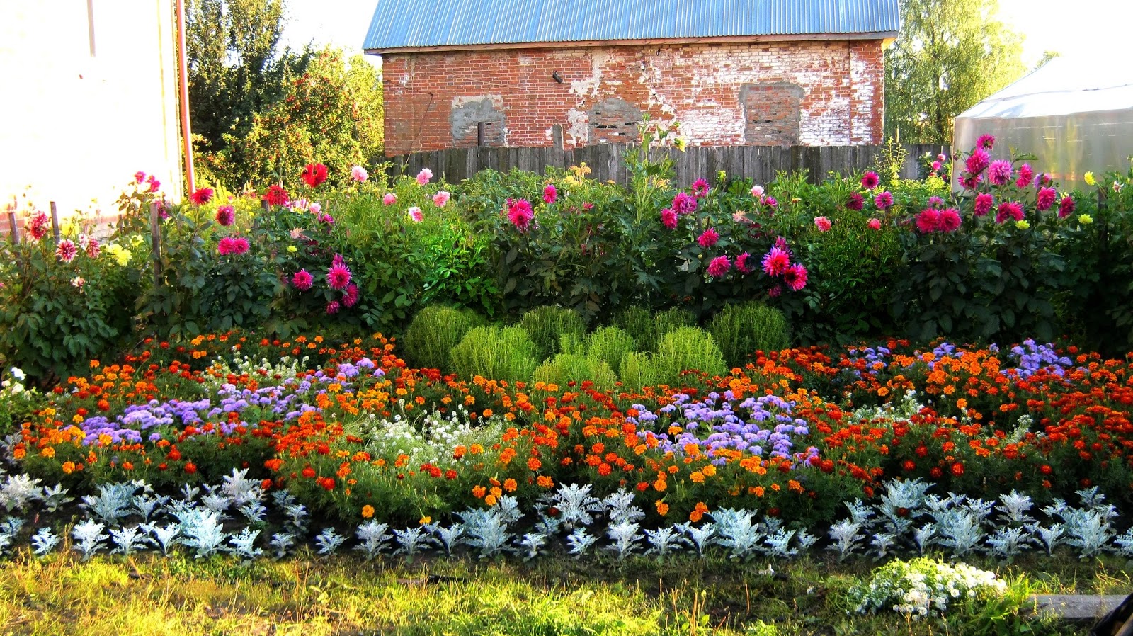 фото клумбы с цветами возле дома