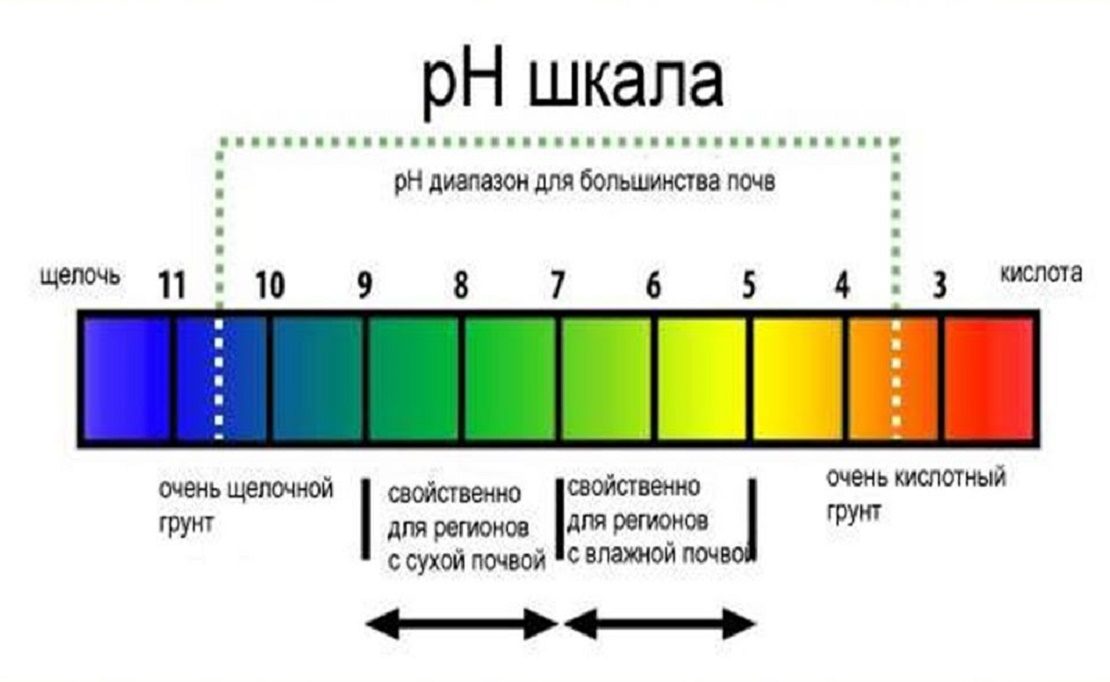 pH шкала грунта