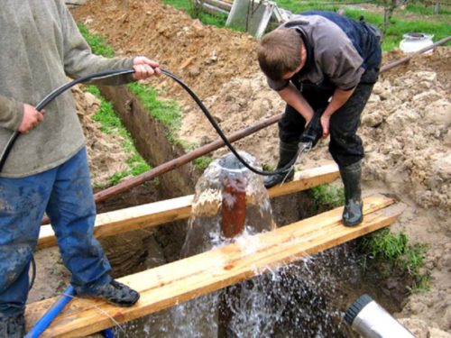 Как застроить каждый участок воды forager