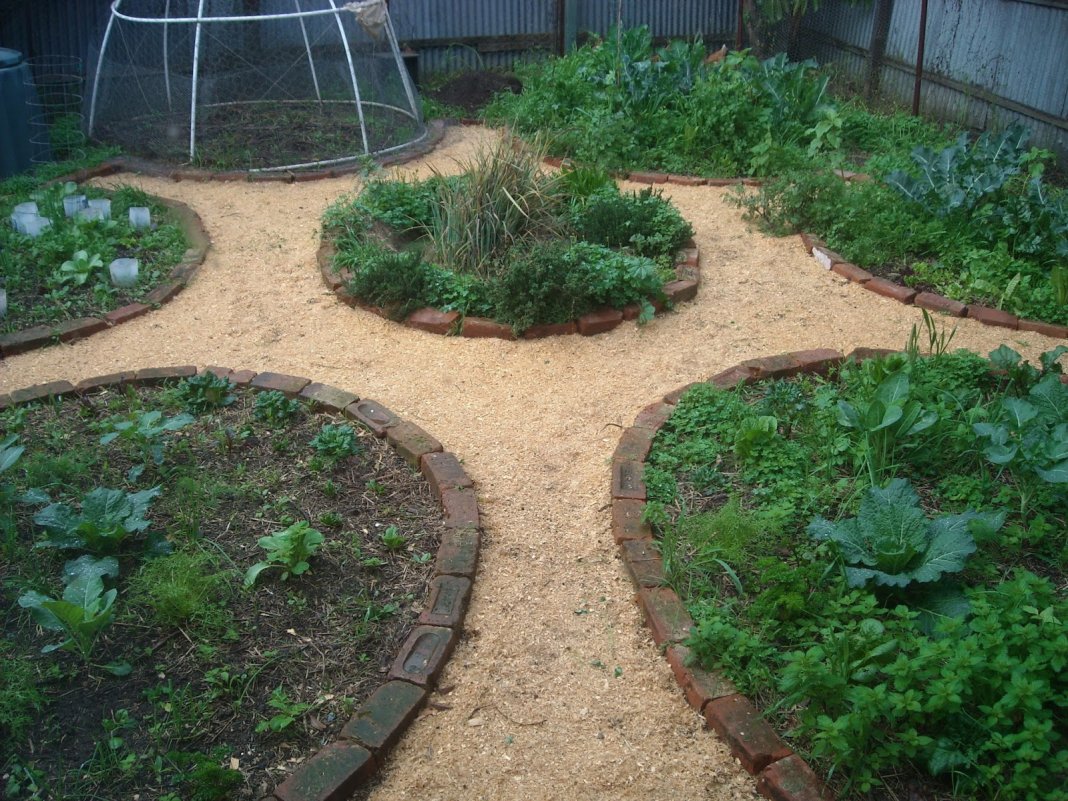 Использование опилок в саду и огороде