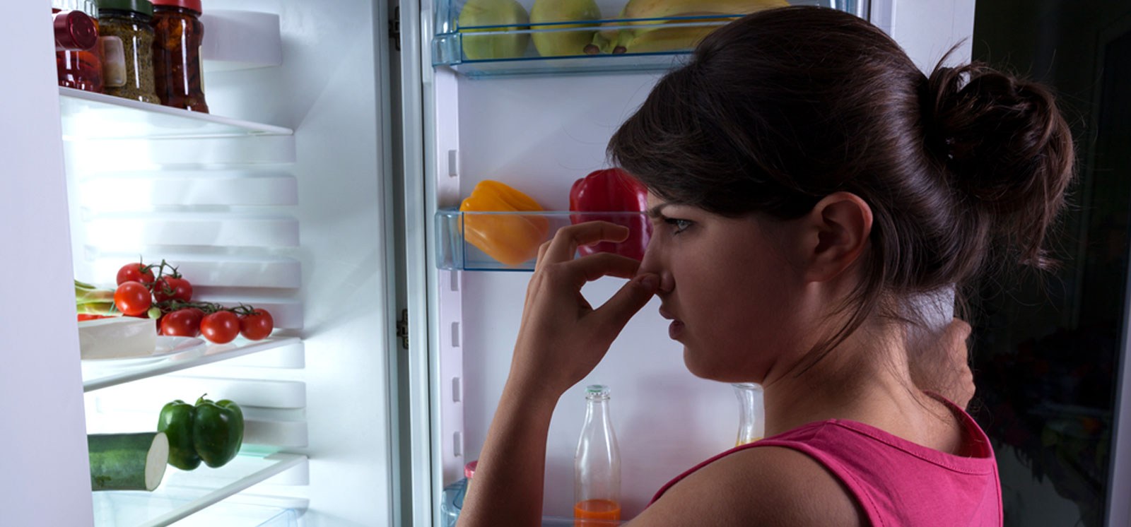 Что положить в холодильник от запаха. Запах в холодильнике. Избавиться от запаха в холодильнике. Неприятный запах в холодильнике. Мытье холодильника.
