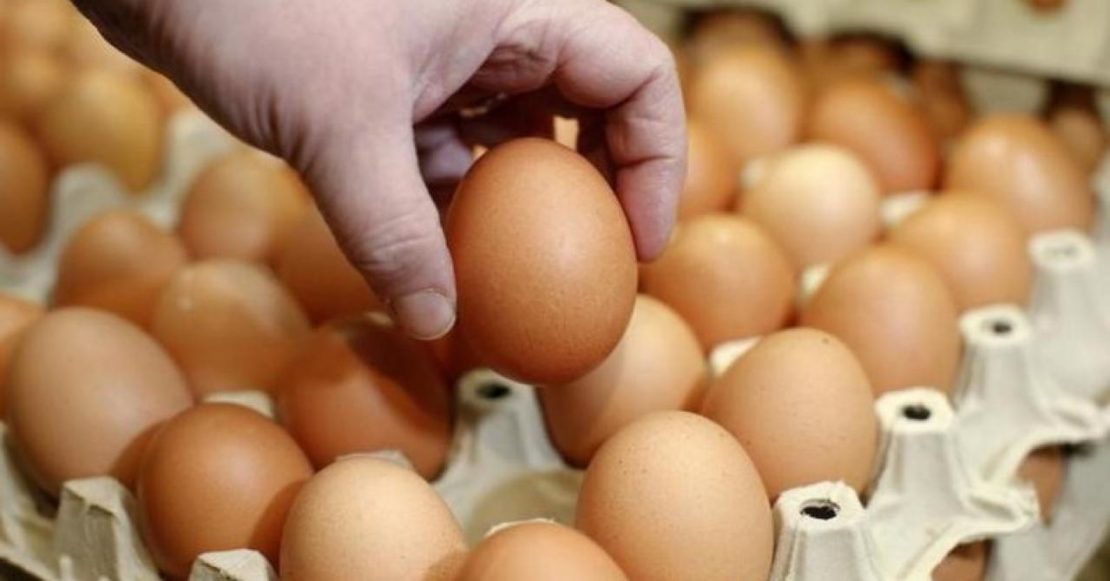 Как выбрать свежие яйца в супермаркете