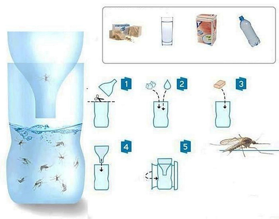 Ловушка для комаров из пластиковых бутылок