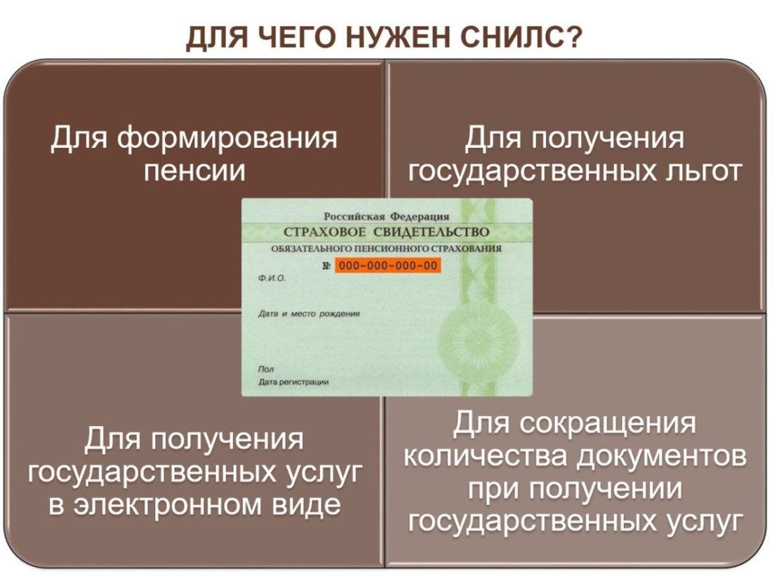 Как узнать свою пенсию по снилс через интернет без регистрации